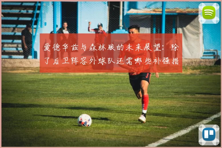 爱德华兹与森林狼的未来展望：除了后卫阵容外球队还需哪些补强措施