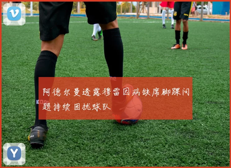 阿德尔曼透露穆雷因病缺席脚踝问题持续困扰球队